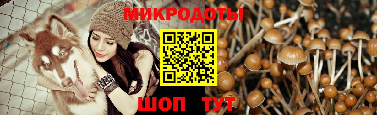 Псилоцибиновые грибы ЛСД Вязники